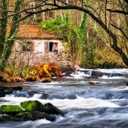 Area Grande * Malpica