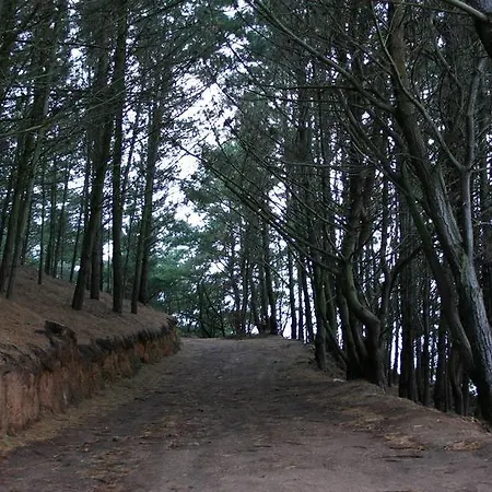Area Grande Malpica