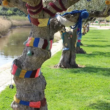 Area Grande * Malpica